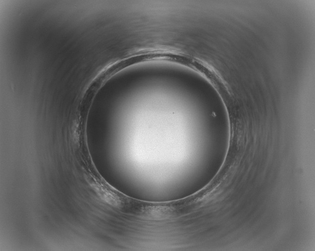 X0000073931163200608111153