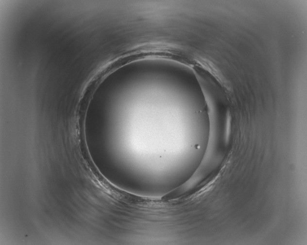 X0000073931164200608111153