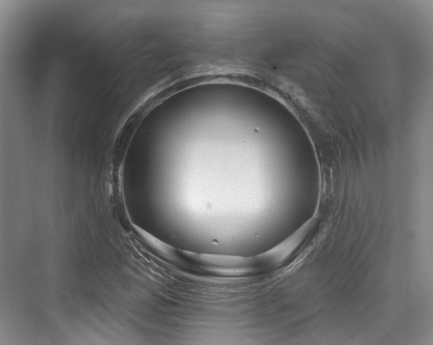 X0000073931165200608111153