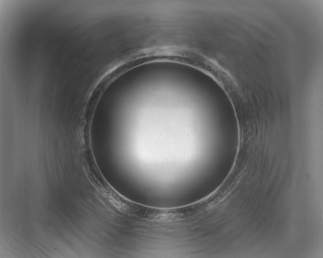 X0000073931166200608111153