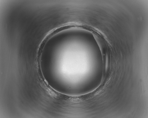 X0000073931168200608111153