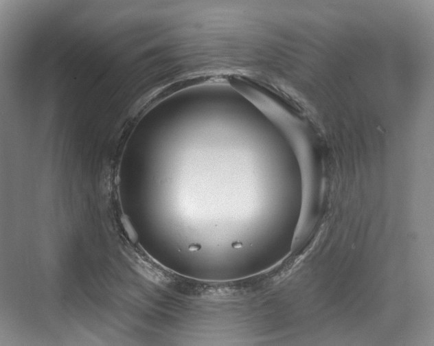 X0000073931169200608111152