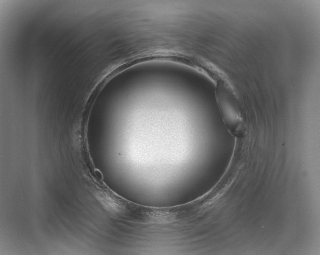 X0000073931170200608111152