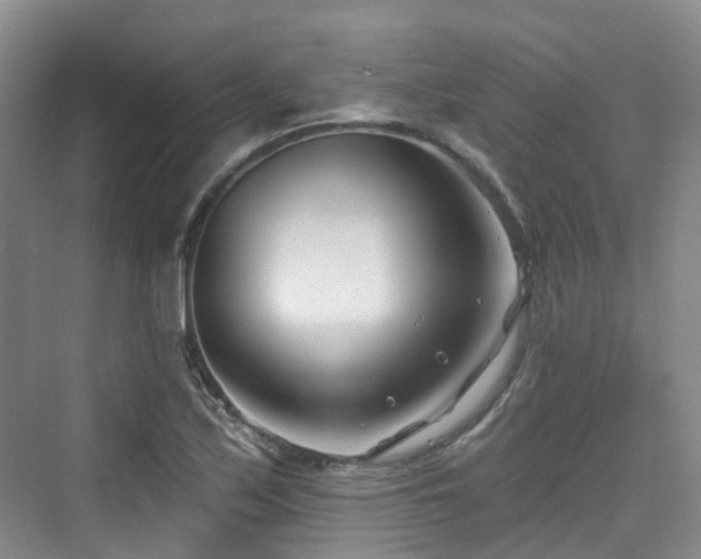 X0000073931171200608111152