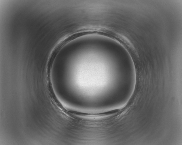 X0000073931172200608111152