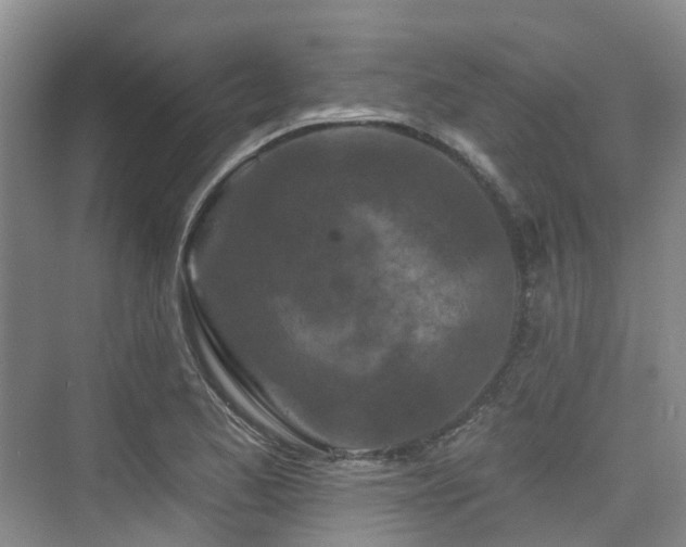 X0000073931173200608111152