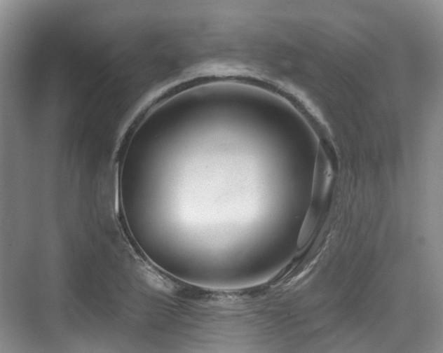 X0000073931175200608111152