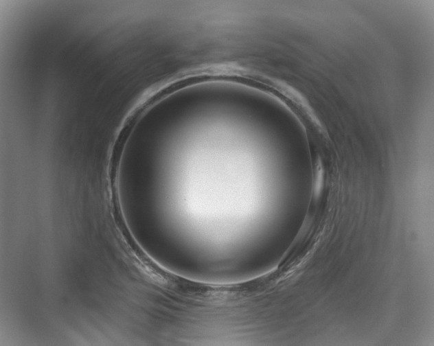 X0000073931176200608111152