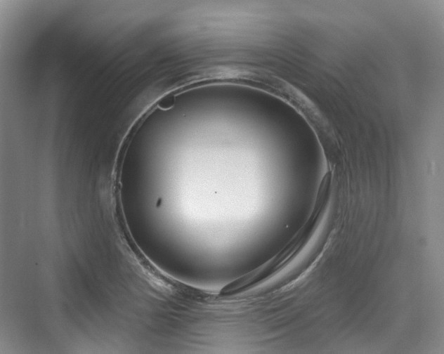 X0000073931178200608111152