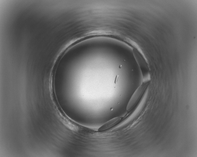 X0000073931179200608111152