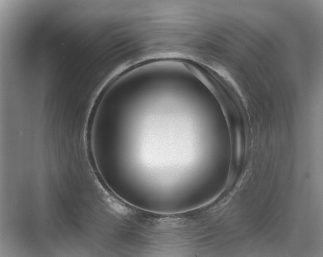 X0000073931181200608111152