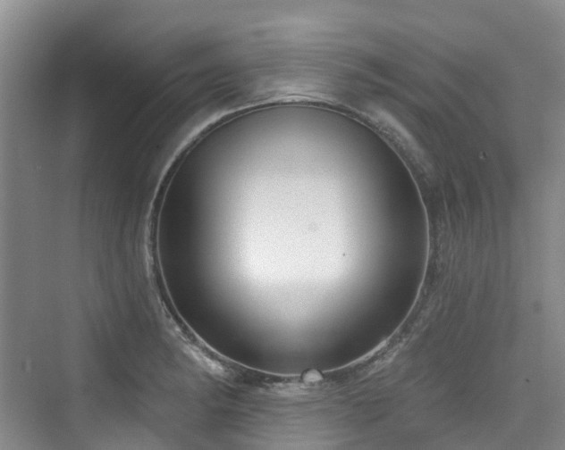 X0000073931182200608111152