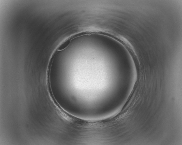 X0000073931183200608111152