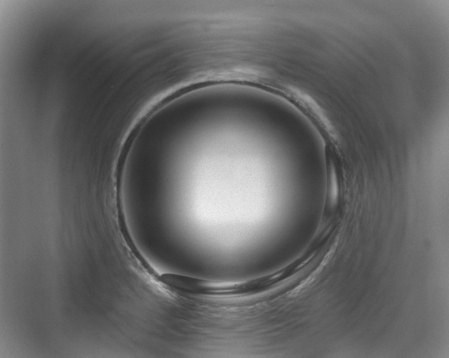 X0000073931184200608111152