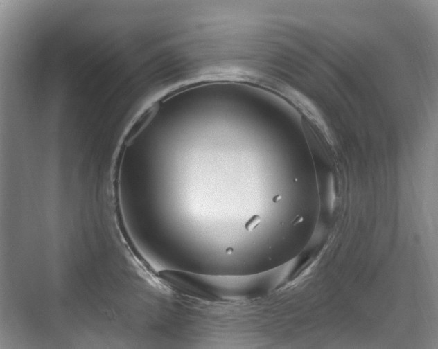 X0000073931192200608111152