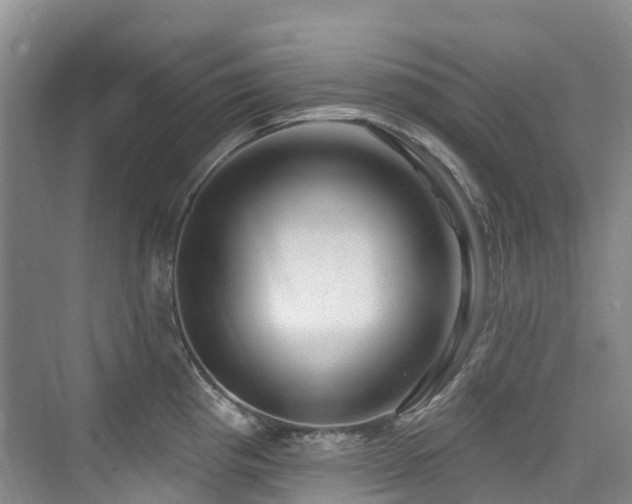 X0000073931193200608111152