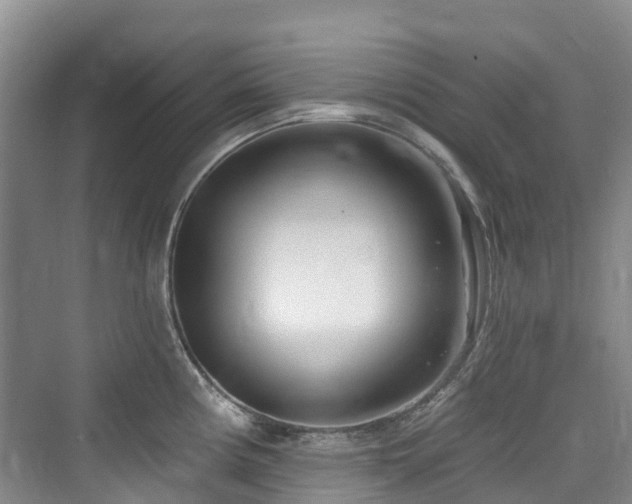 X0000073931194200608111152