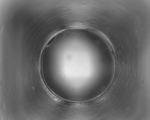 X0000073931195200608111152