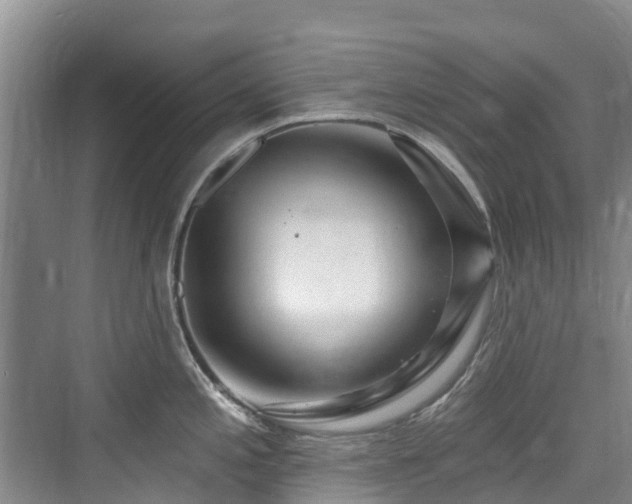 X0000073931197200608111152