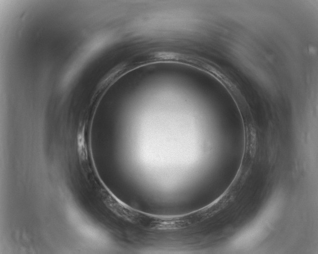 X0000073931198200608111152