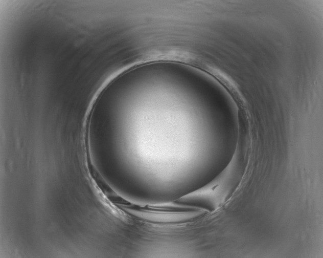 X0000073931200200608111152