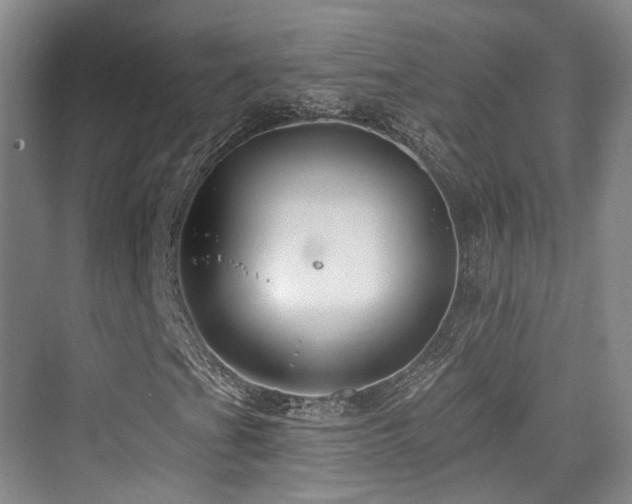 X0000073931201200608111151