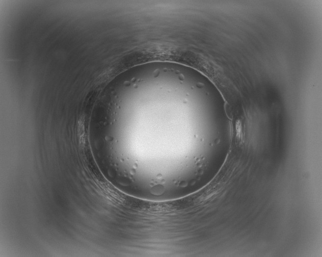 X0000073931203200608111151