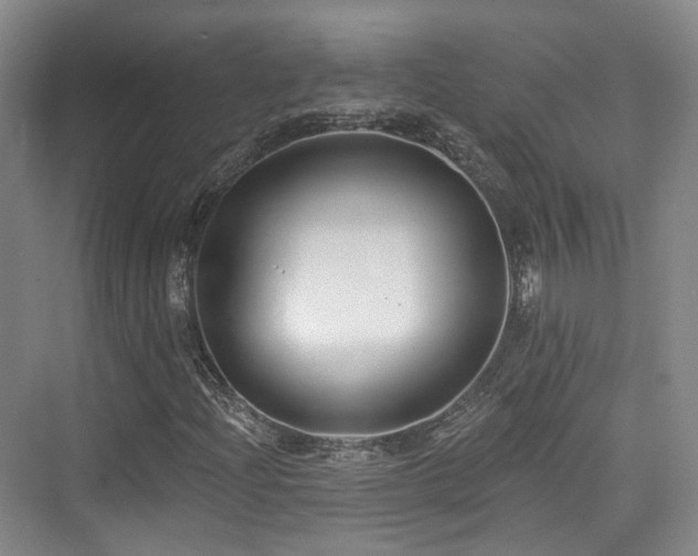 X0000073931204200608111151