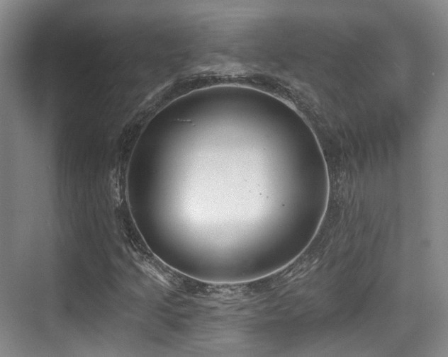 X0000073931205200608111151