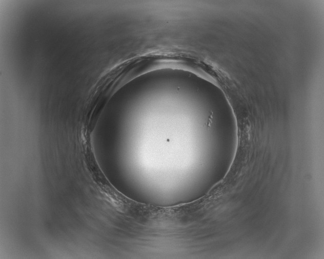 X0000073931206200608111151