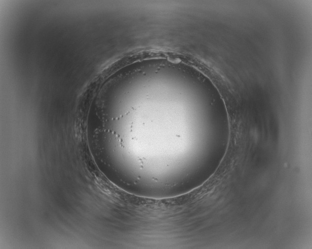 X0000073931207200608111151