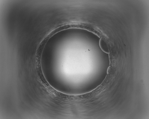 X0000073931208200608111151