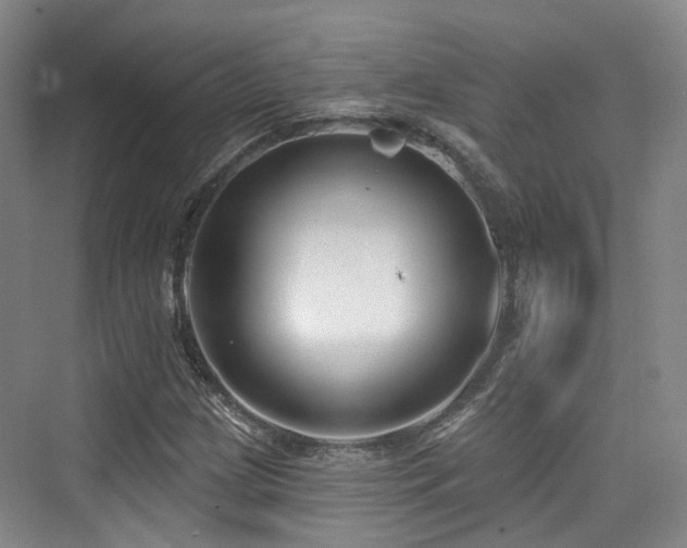 X0000073931209200608111151