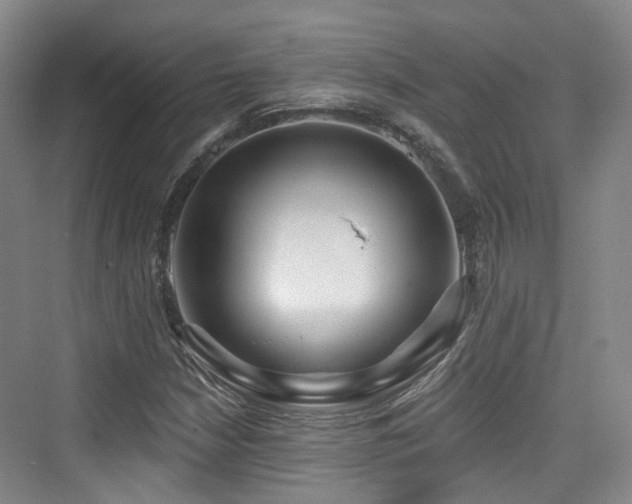 X0000073931210200608111151