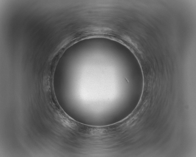 X0000073931211200608111151