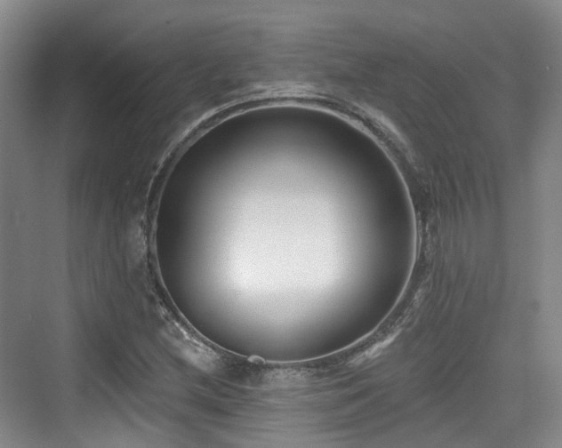 X0000073931212200608111151