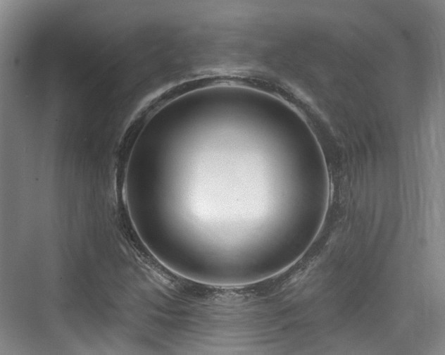 X0000073931214200608111151