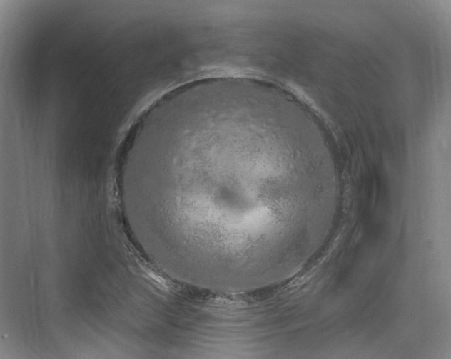 X0000073931215200608111151