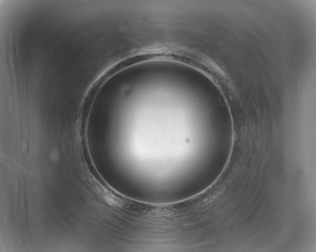 X0000073931216200608111151