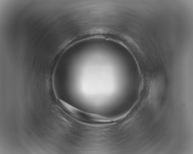 X0000073931217200608111151