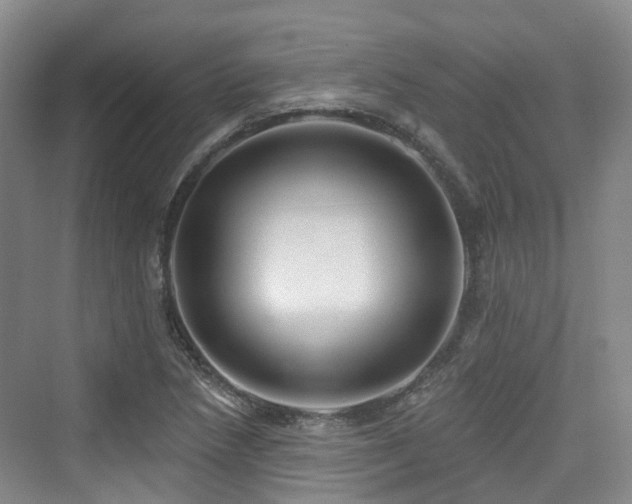 X0000073931218200608111151