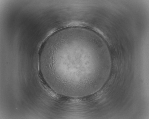 X0000073931219200608111151