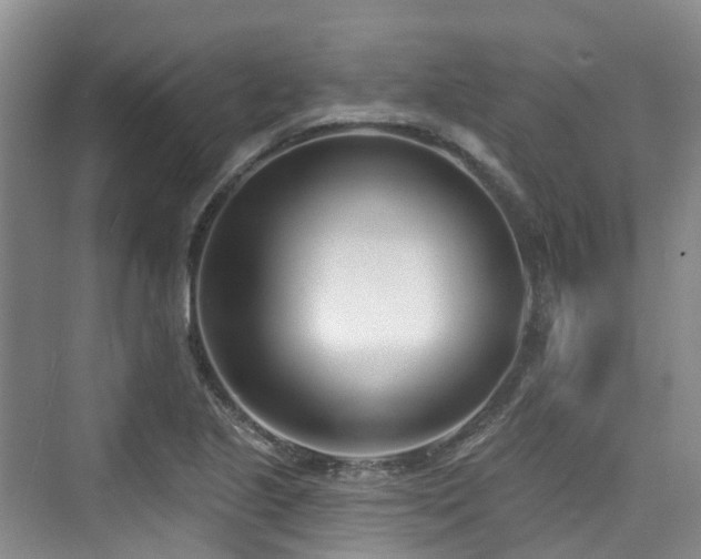 X0000073931221200608111152