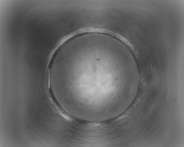 X0000073931223200608111152