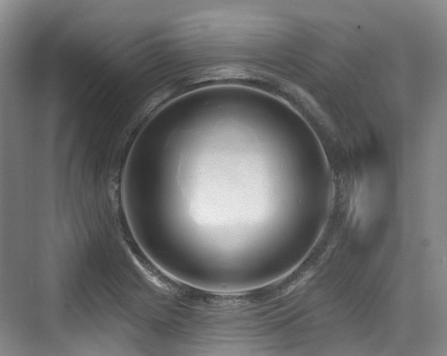 X0000073931225200608111152