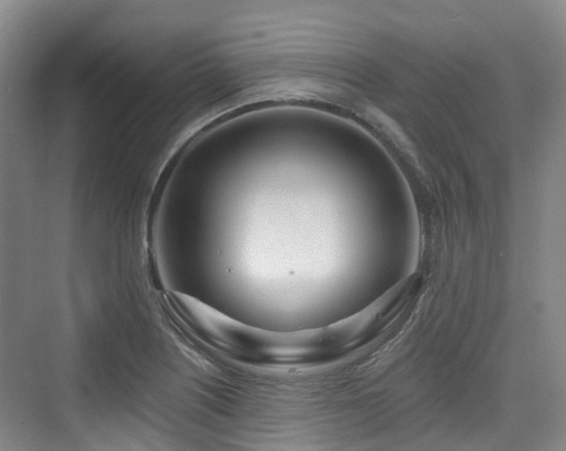 X0000073931226200608111152