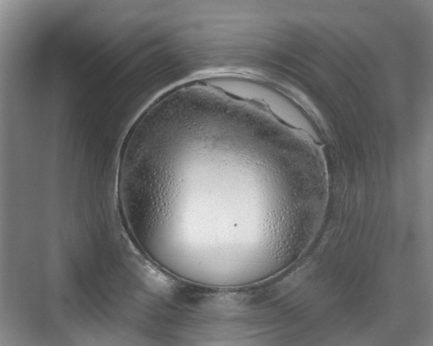 X0000073931228200608111152