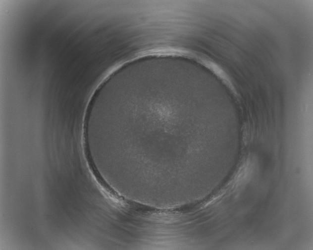 X0000073931229200608111152