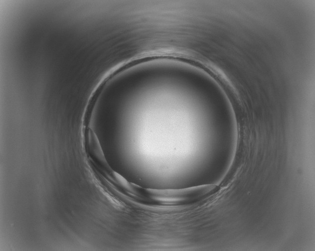 X0000073931230200608111152