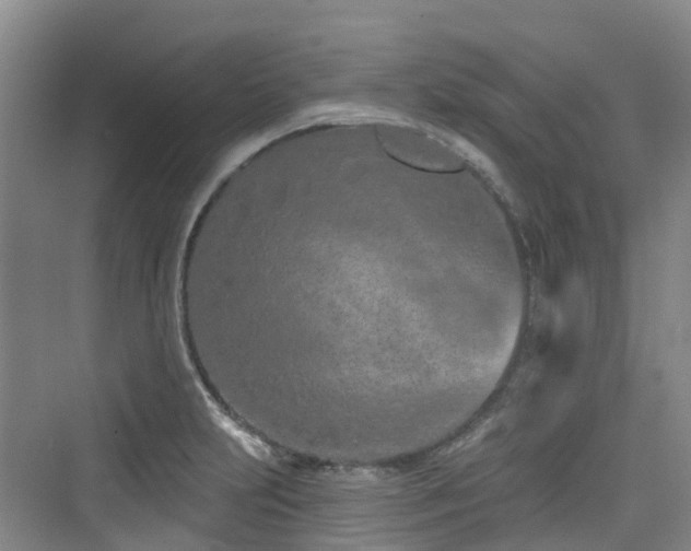 X0000073931231200608111152